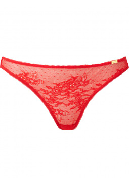 Gossard Women's VIP Chicago Deep Brief Lingerie, Wood Rose, L: Buy Online  at Best Price in Egypt - Souq is now